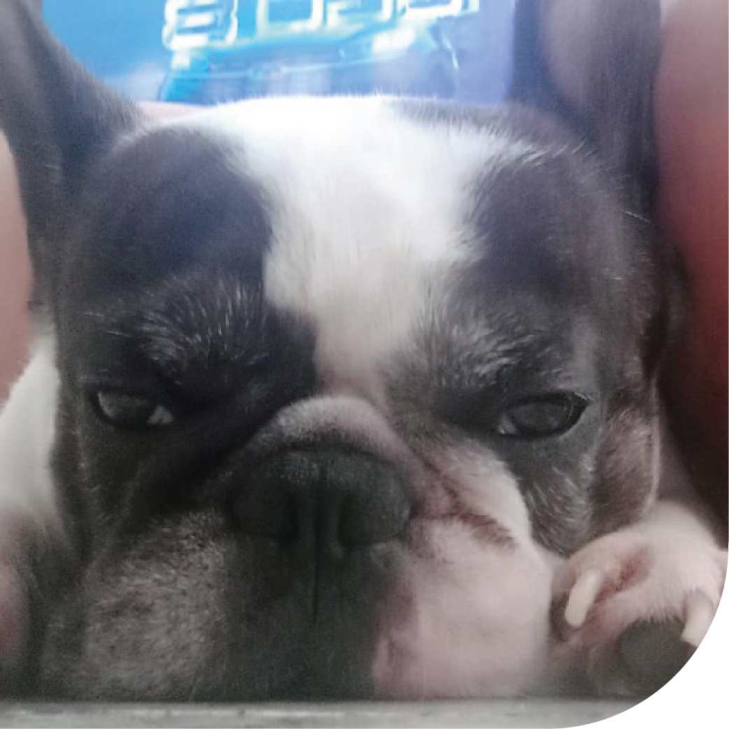 Mentores e Participantes_QUARTàsOITO_02.png