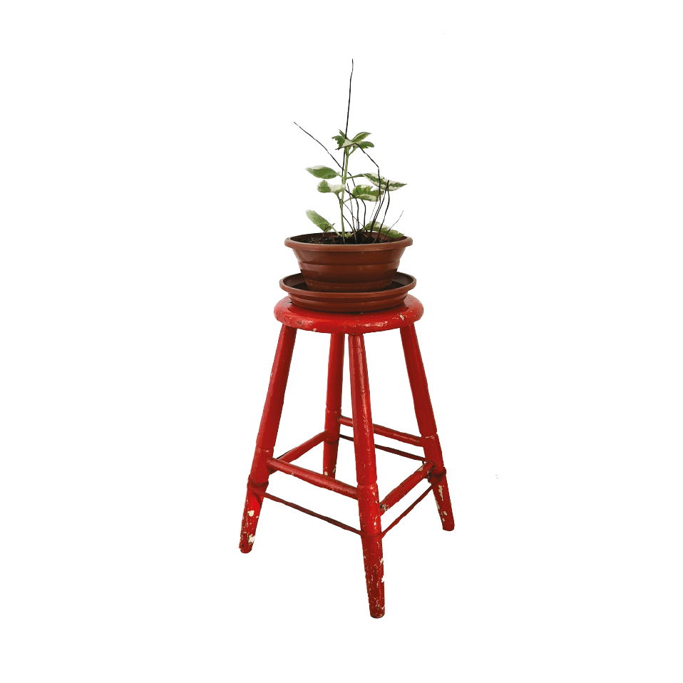 Elementos Gráficos e Imagens_Mwj CRIA para Site_011223_08.png